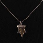 The Shiny Star Necklace