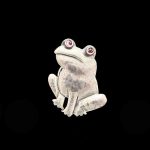Red Eye Frog Pin