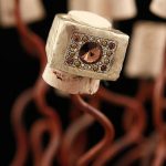 Darcie Gold Smoky Ring