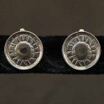 Silver Shine Earrings